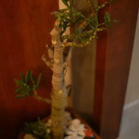 Ξενοδοχείο Letter