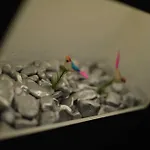 Hotel Letter